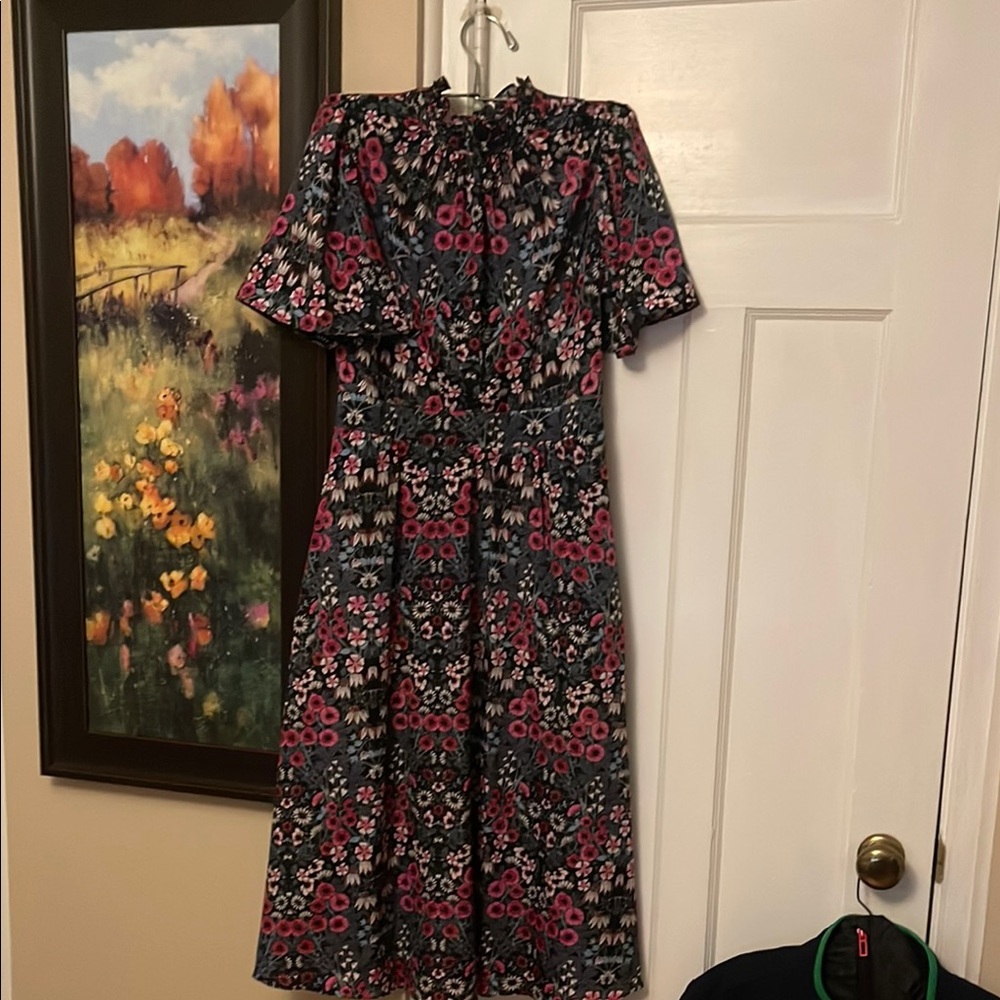 Julia Jordan Pink and Red Puff Sleeve A-line Midi Dress
